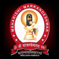 MM University Logo